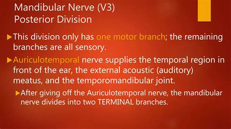 Nerves of the Head and Neck: Intro, CNS, PNS, Cranial Nerves, Trigeminal | PPTX