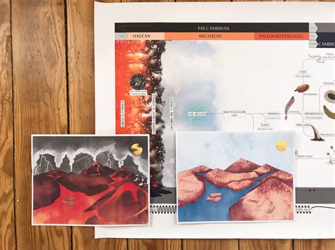 The Montessori Timeline of Life – Redesigned and Scientifically Accurate – Rhyme and Reason Academy