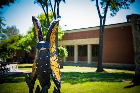 Library | Burleson, TX - Official Website