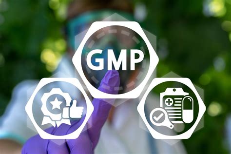 What Do the GMP Qualification & Validation Processes Look Like ...