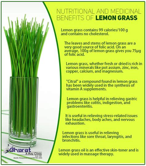 Nutritional and medicinal benefits of Lemon Grass ‪#‎lemongrass ...