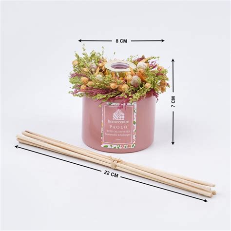 Buy Paolo Honeysuckle and Hydrangea Reed Diffuser Set from Home Centre ...