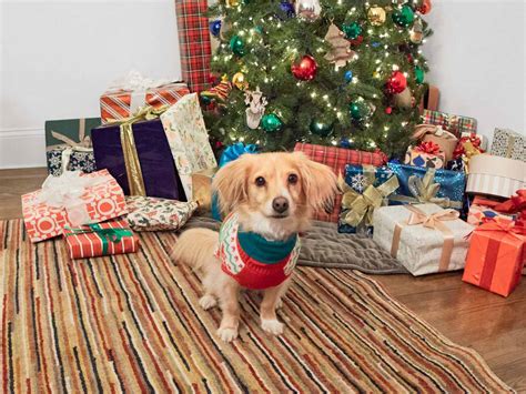 Ring Security System.us 的图像结果