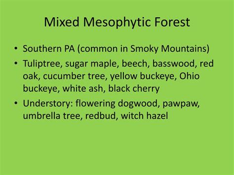 Image result for Stream Order Pattern