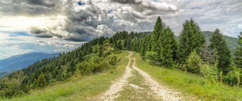 Download wallpaper 2560x1080 road, distance, forest, clouds dual wide ...