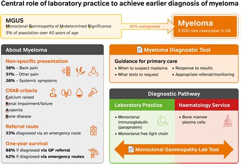 Causes Of Elevated Kappa And Lambda Light Chains With Normal Ratio - Infoupdate.org