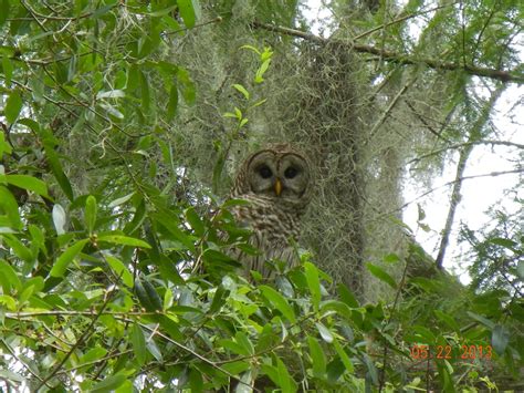 Gallery | Hardee County Property Appraiser