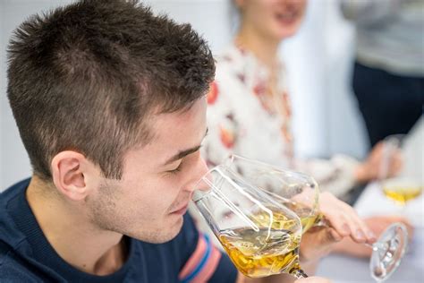 Weinkenner (IWI) Level 2 - Advanced, International Wine Institute ...