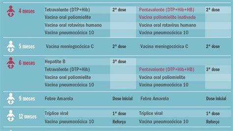 Quantas vacinas aos 6 meses? | BabyCenter