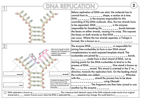 Image result for Protein Synthesis Review Worksheet