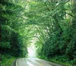 Delhi Development Authority