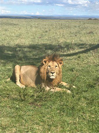 Pulse Africa - Johannesburg | Tripadvisor