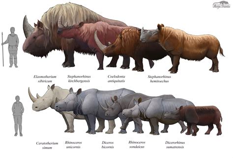 Pin by Mythical Mae on Animals | Prehistoric wildlife, Ancient animals ...