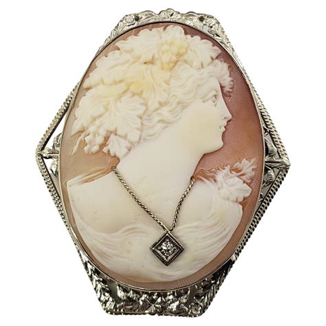 14 Karat White Gold and Diamond Cameo Brooch/Pendant For Sale at ...