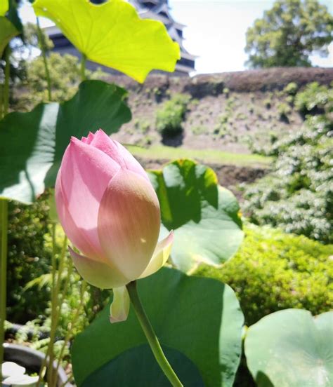 ととのえ会～白露の候・鶺鴒鳴（せきれいなく）～, 熊本 東区, Kumamoto, 14 September 2024 | AllEvents.in