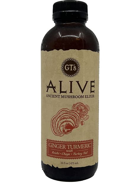 Alive Ginger Turmeric - Packaged Food Reviews