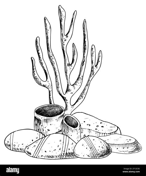 How To Draw The Ocean Floor