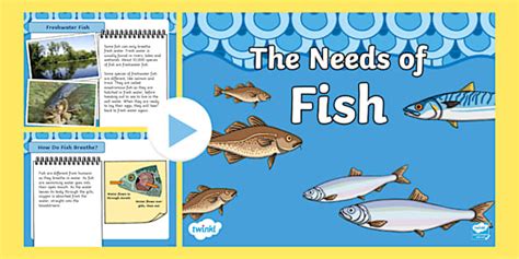 The Needs of Fish PowerPoint
