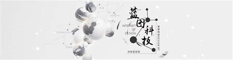 中山微信营销_网站推广_广东大熊互动网络有限公司