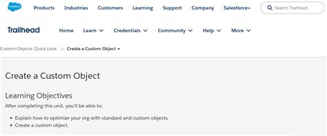 Image result for Object Custom