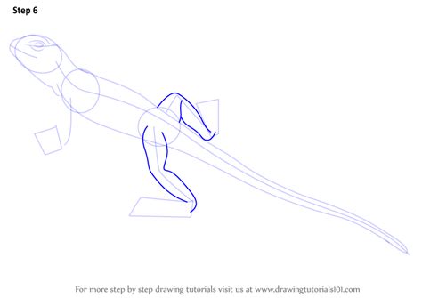 Image result for Common Collared Lizard How to Draw