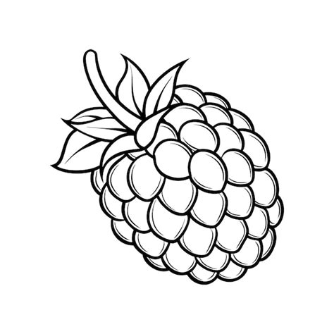 Images de Framboise Dessin – Téléchargement gratuit sur Freepik