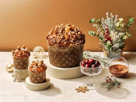 Where to get the best panettone in Singapore this Christmas | LSA IND