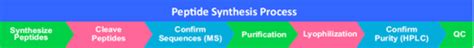 Image result for Peptide Synthesis Process