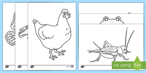 African Hen Story Colouring Sheets (teacher made) - Twinkl