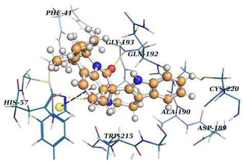 New Blood Coagulation Factor XIIa Inhibitors: Molecular Modeling ...