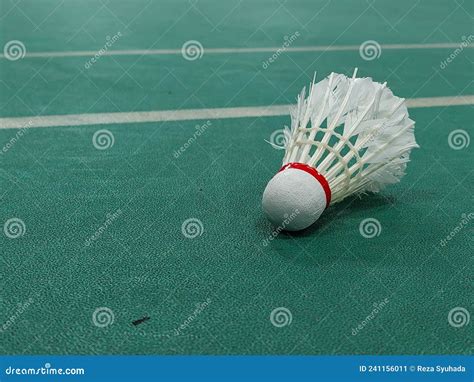 Badminton Net Shuttle Cock 的图像结果