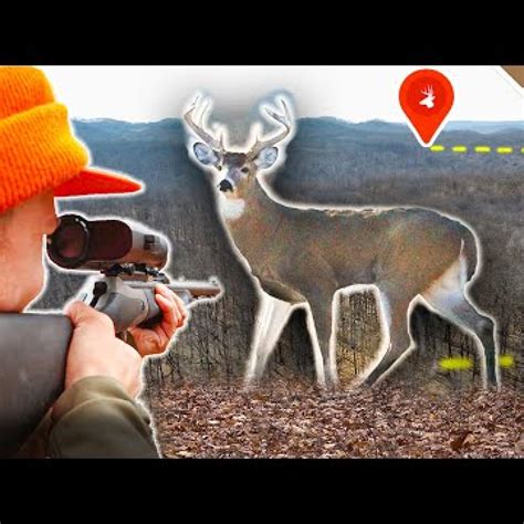 BIG WOODS Muzzleloader Hunting! – Ohio Public Land DEER DRIVES ...