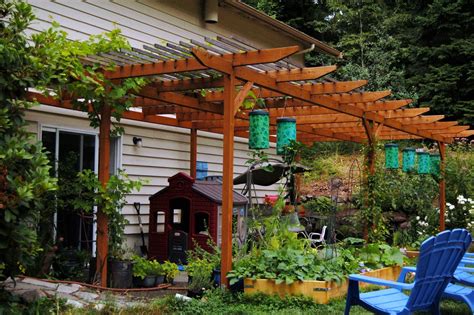 Vines pergola | Vines And Pergola | Dubai Vines With Pergola | Pergola ...