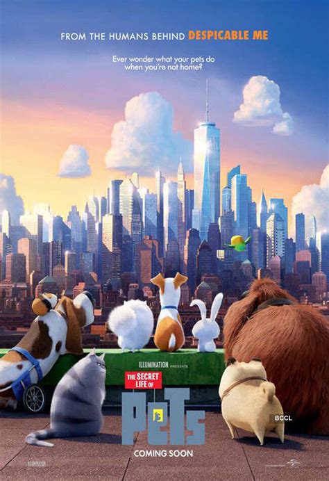 The Secret Life Of Pets Movie User Reviews & Ratings | The Secret Life ...