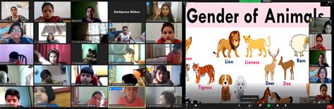 Quest Club - Animal Gender - SAI Angan