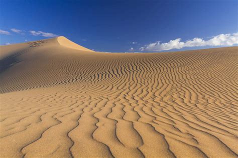 Dune di Maspalomas 🏜️: Deserto affascinante a Gran Canaria!