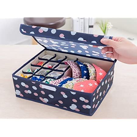 House of Quirk Innerwear Organizer 16+1 Compartment Non-Smell Non Woven ...