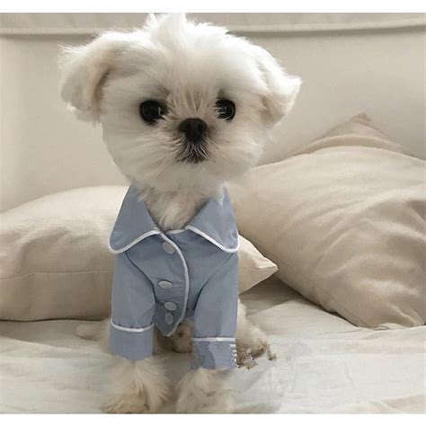 Dog Pajamas Puppy Clothes Casual Daily Winter Dog Clothing 2026 - $16.99