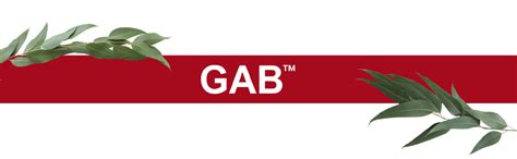 GAB Couple Bath Towel Sets | Beautiful Embroidery | Terry Cotton | 500 ...