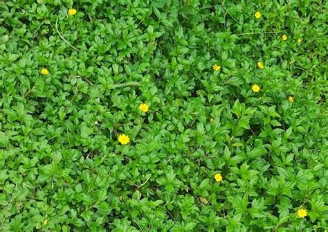 aaaa, 3 February 2023 | AllEvents.in