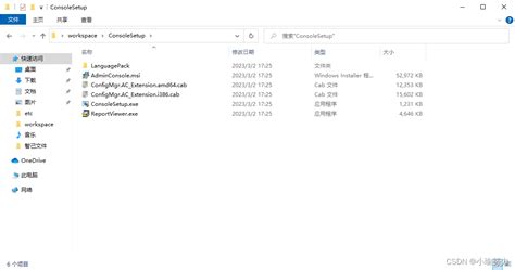 Consolas Coding Setup 的图像结果