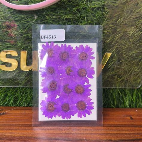 Daisy Dry Pressed Purple