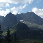 poloniny | eBay Stores