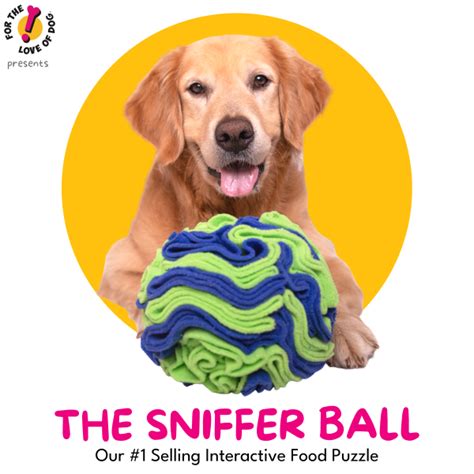 SNIFFER BALL – For the love of Dog