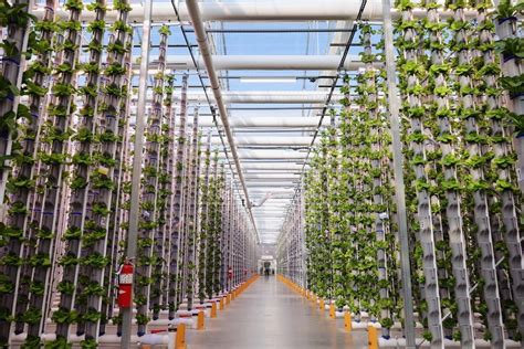 Vertical Farming Process 的图像结果