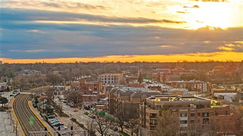 South Shore, Chicago: A Neighborhood Guide | TLC Management