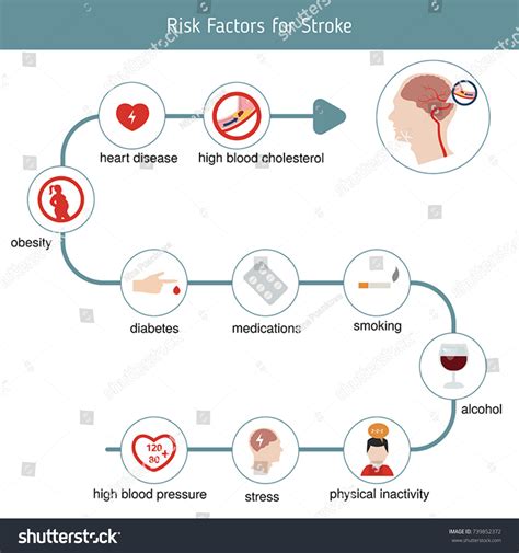 Stroke Risk Factors