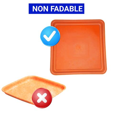 TrustBasket UV Treated 7 inch Square Bottom Tray(Plate/Saucer) Suitabl