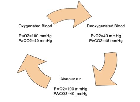 Image result for FiO2 SpO2 ABG