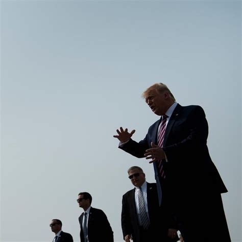 Image result for YouTube Trump Exploding Trees